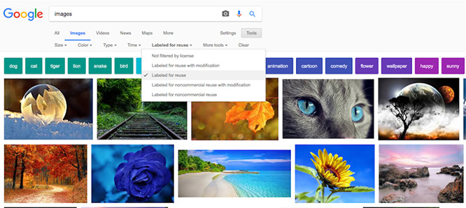 Google Images Usage Settings